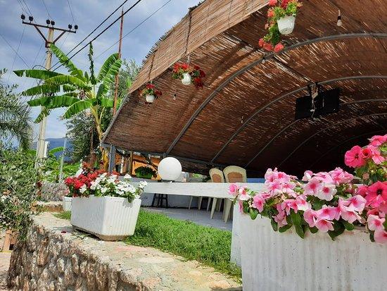 Diego Bar Pizzeri Restorant