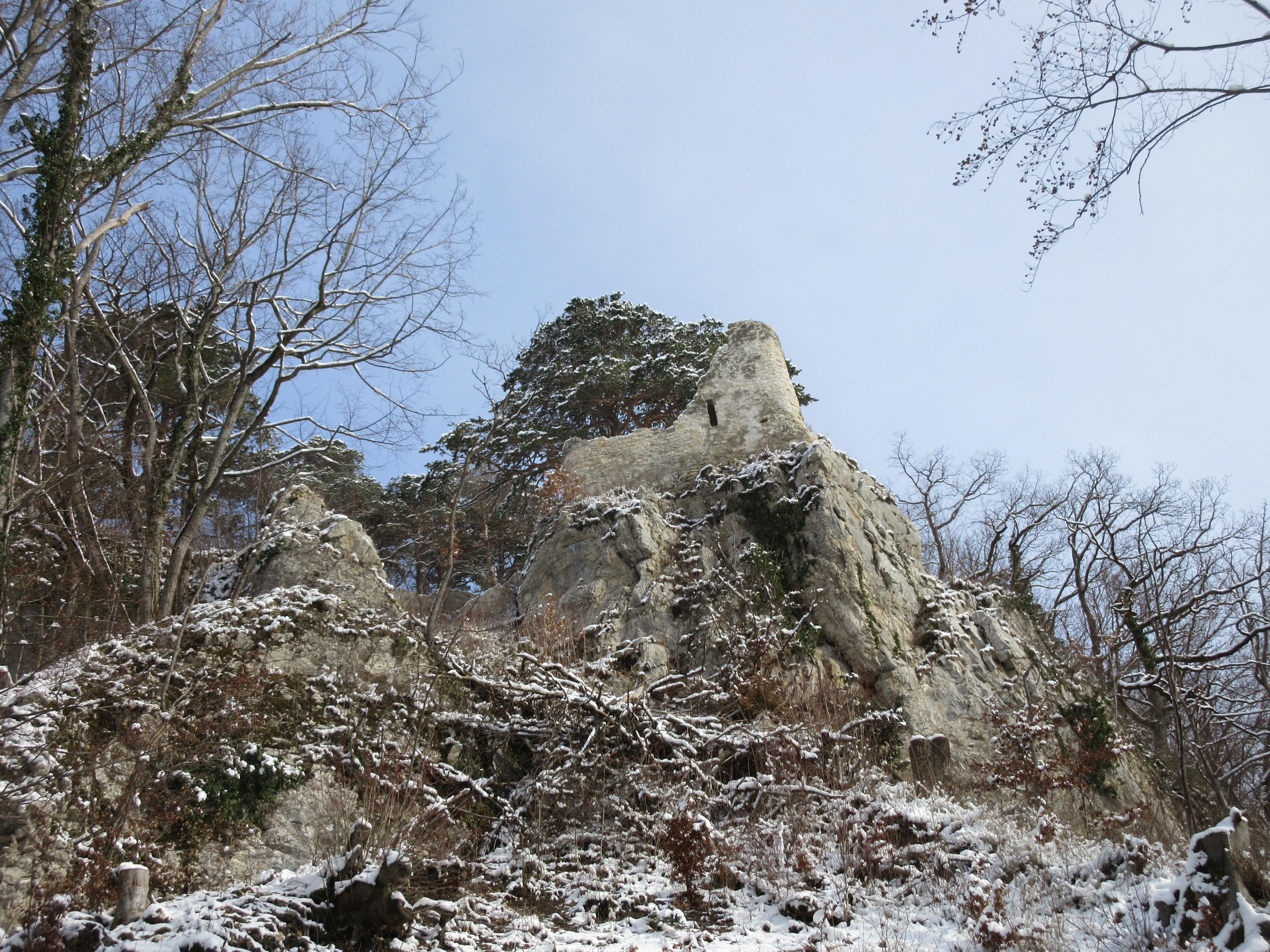 Burgruine Witwald