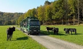 Parc Animalier du Domaine des Grottes de Han