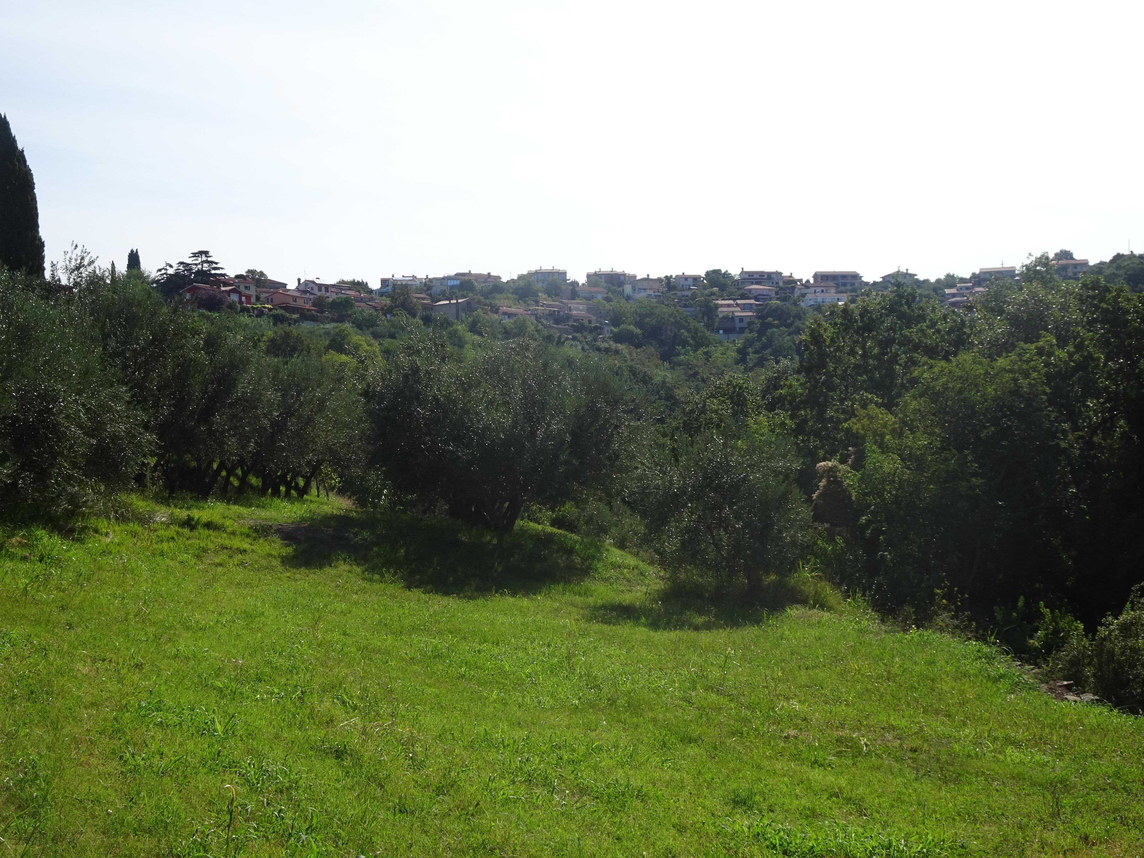 Malija
