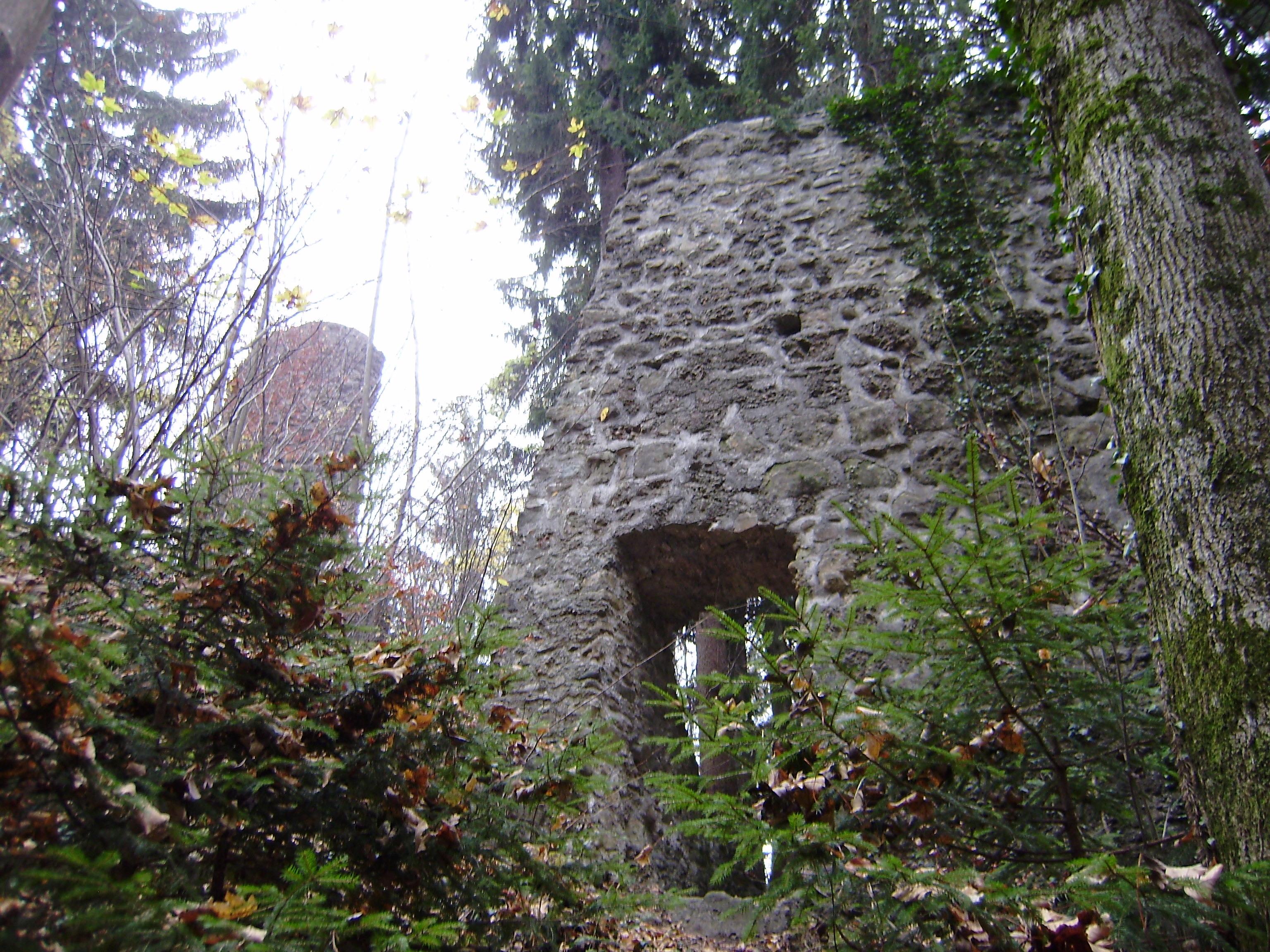 Burg Althofen