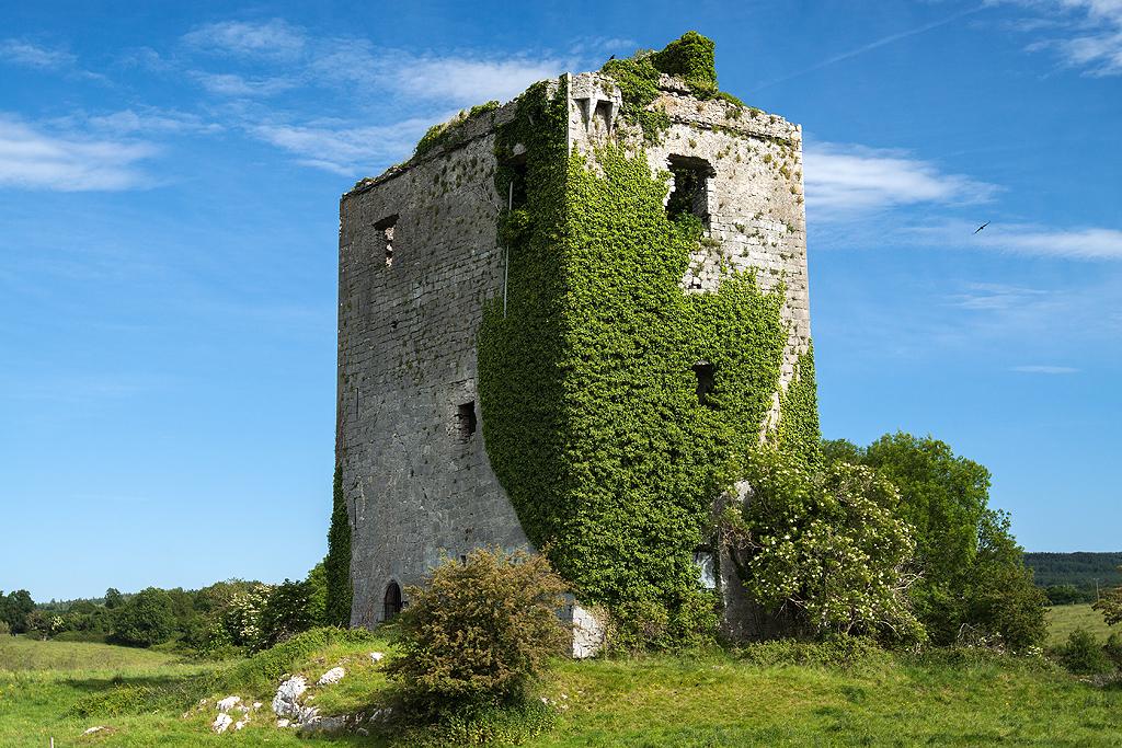 Cratloemoyle Castle