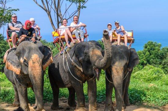 Kok Chang Safari-olifantentocht
