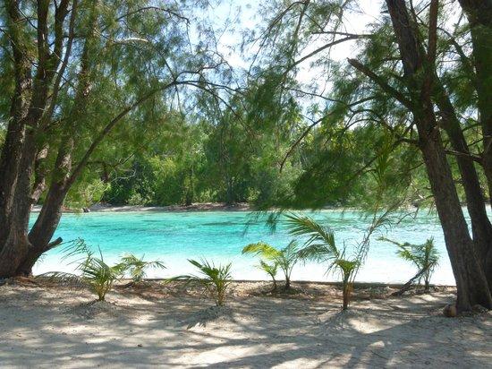Plage Tiahura