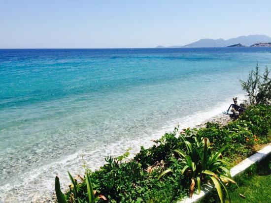 Strand van Lemonakia