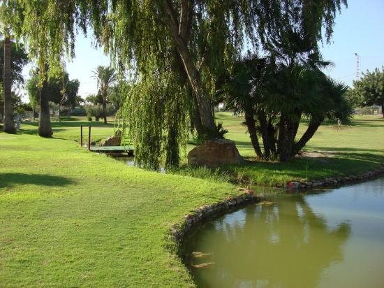 Club de Golf Torre-Pacheco