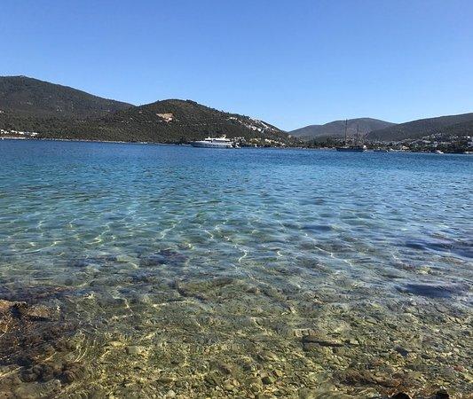 Strand van Torba