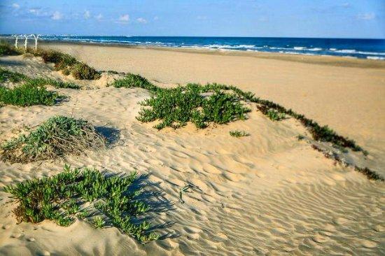 Playa De Canet De Berenguer