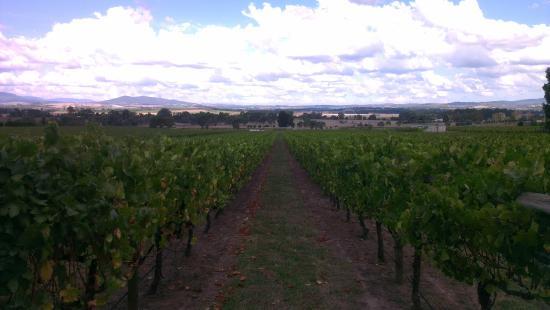 Sticks Winery