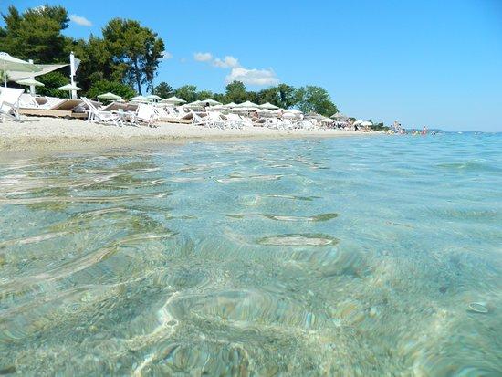 Strand van Chaniotis