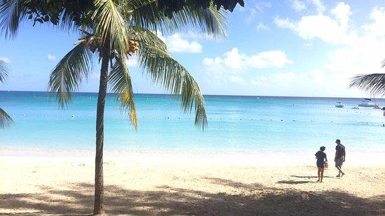 Strand van Pereybere