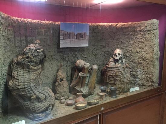 Museo Arqueologico de la Universidad