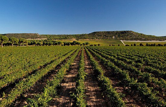 Bodegas Abadia Retuerta