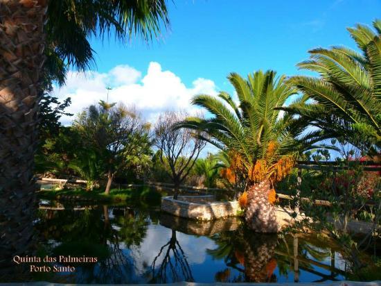 Quinta das Palmeiras