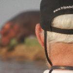 Chelton's Bar & Grill