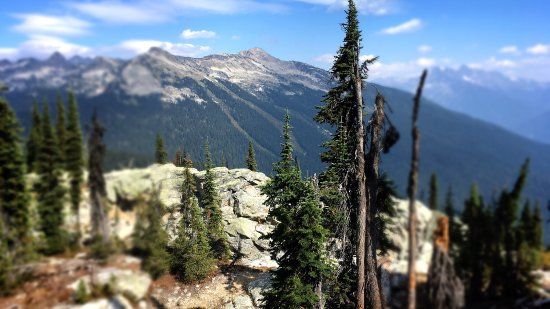 Nationaal park Mount Revelstoke