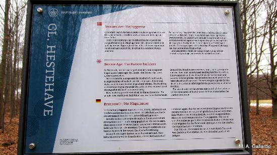 Gravhojene I Gl. Hestehave