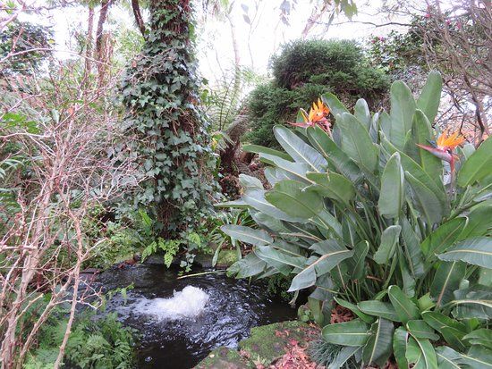 E G Waterhouse National Camellia Gardens