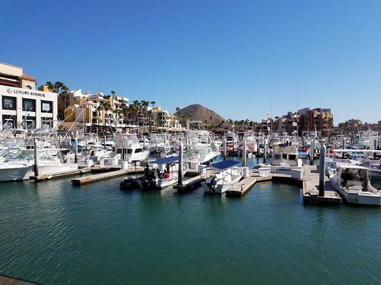 Jachthaven Cabo San Lucas