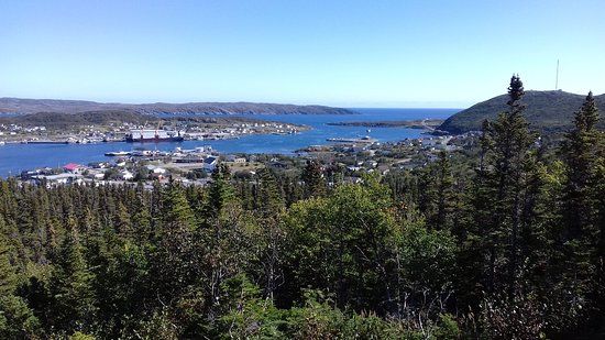 Tea House Hill Walking Trail