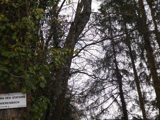 Chemin de croix du Rote-Rain