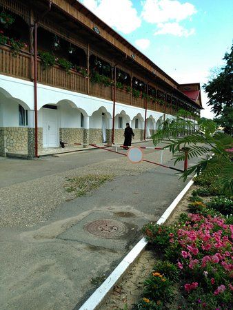 Manastirea Vladimiresti