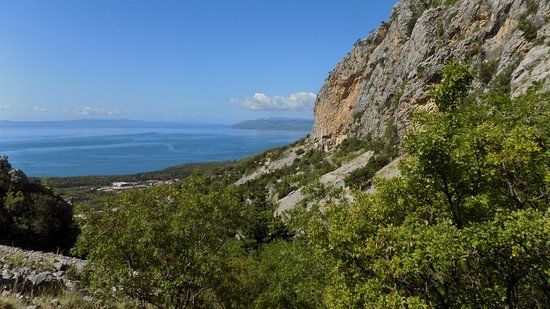 Kotisina Botanical Garden