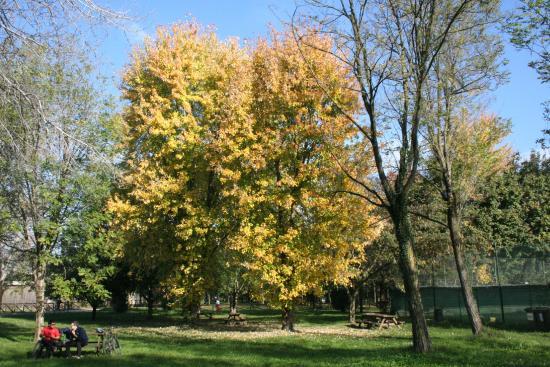 Parco Giovanni Callioni