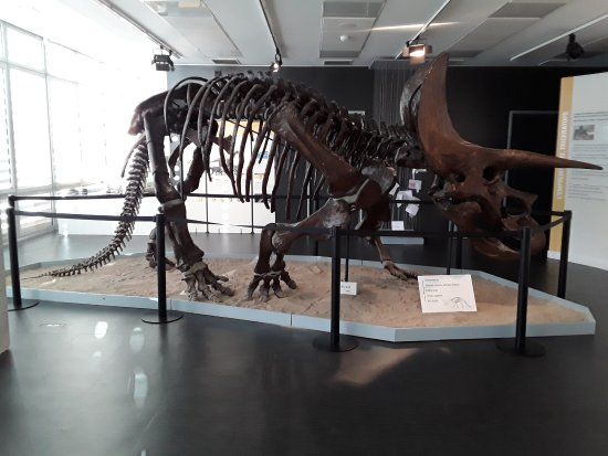 Institut Català de Paleontologia Miquel Crusafont