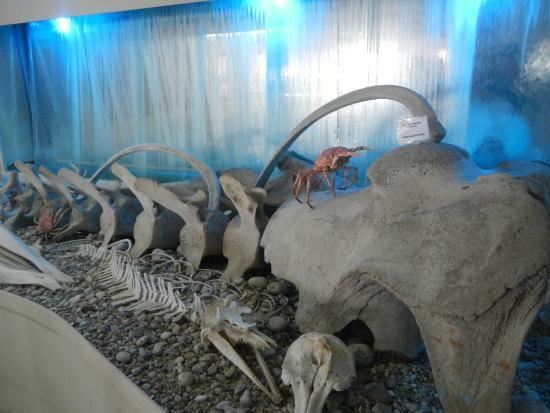 Schelpenmuseum van Corfu