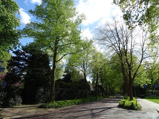 Galerie De Vlierhove