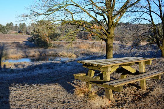 Golfclub Brunssummerheide