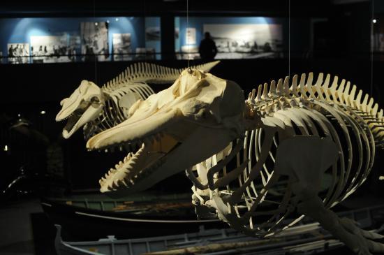 Nationaal museum van de Faeröer