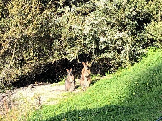 Penguin Interpretive Centre