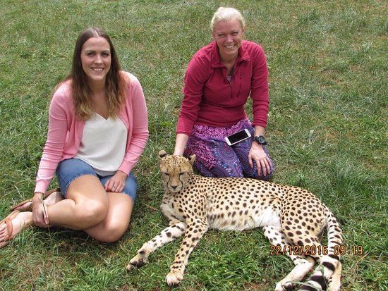 Nairobi Animal Orphanage