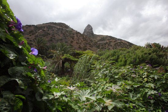 Jardin Botanico del Descubrimiento de Vallehermoso