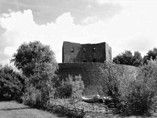 De Ruïne van Teylingen