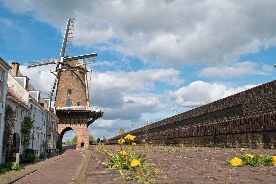 Molen Rijn en Lek