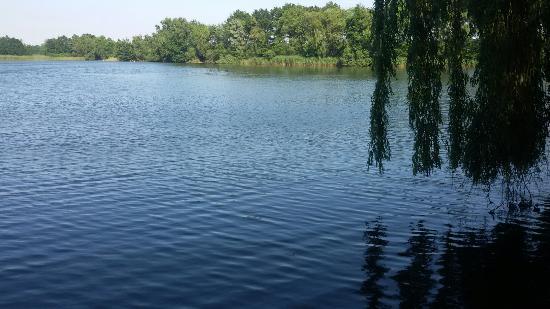 Winkelcentrum Roselaar