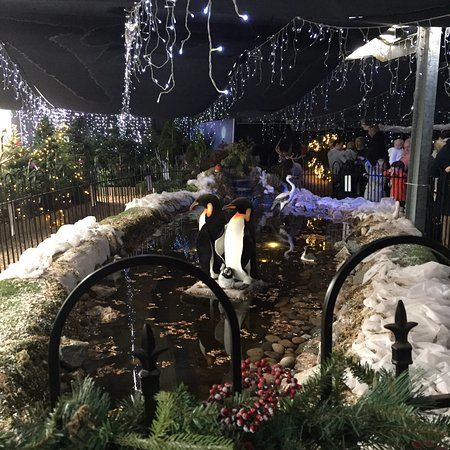 Dobbies Garden Centre