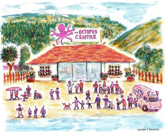 Octopus Centre