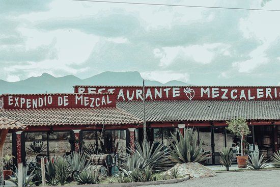 Palenque Mal De Amor