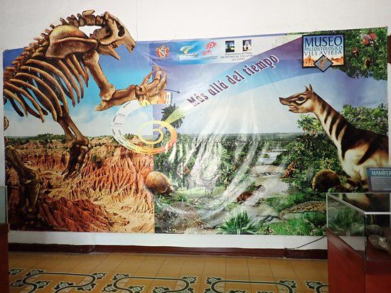 Museo Paleontologico