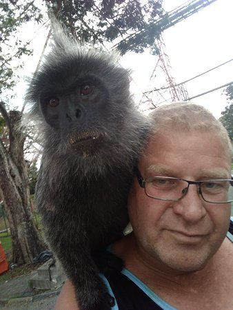 Kuala Selangor Firefly Park