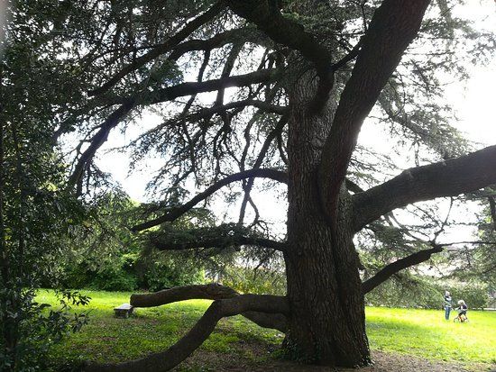 Giardino Botanico Colla