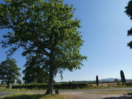 Menhirs dEpoigny