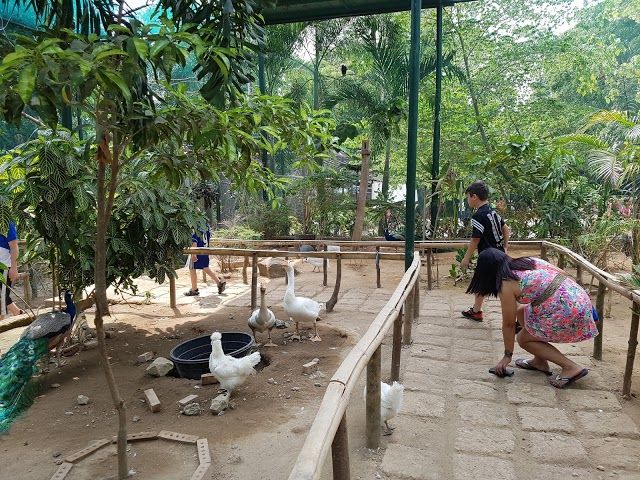 Jungle Environment Survival Training Camp