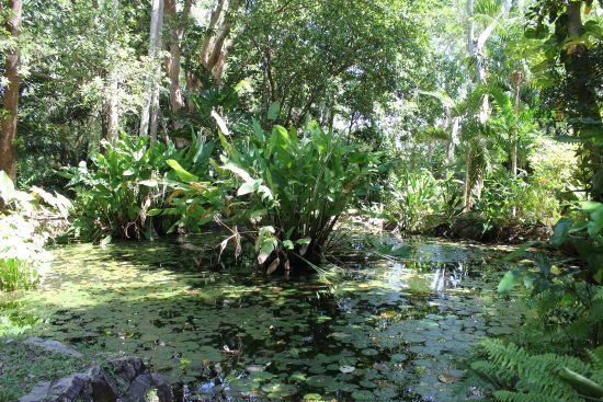 Cooktown Botanic Gardens