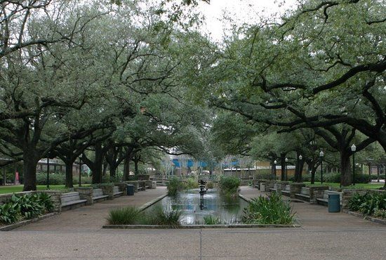 Dierentuin Houston