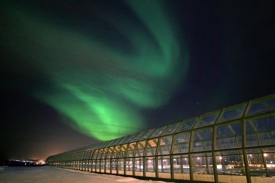 Wetenschapsmuseum Arktikum